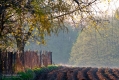 017_Biebrza - kwiecien 2012